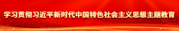 操黑大大吊caob学习贯彻习近平新时代中国特色社会主义思想主题教育